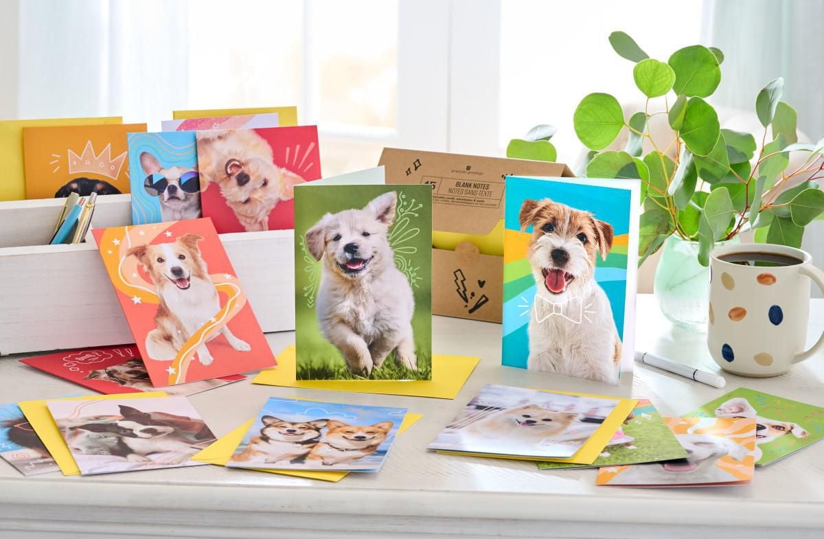 American Greetings - Assortiment en boîte de 15 cartes sans texte et enveloppes, chiens amusants