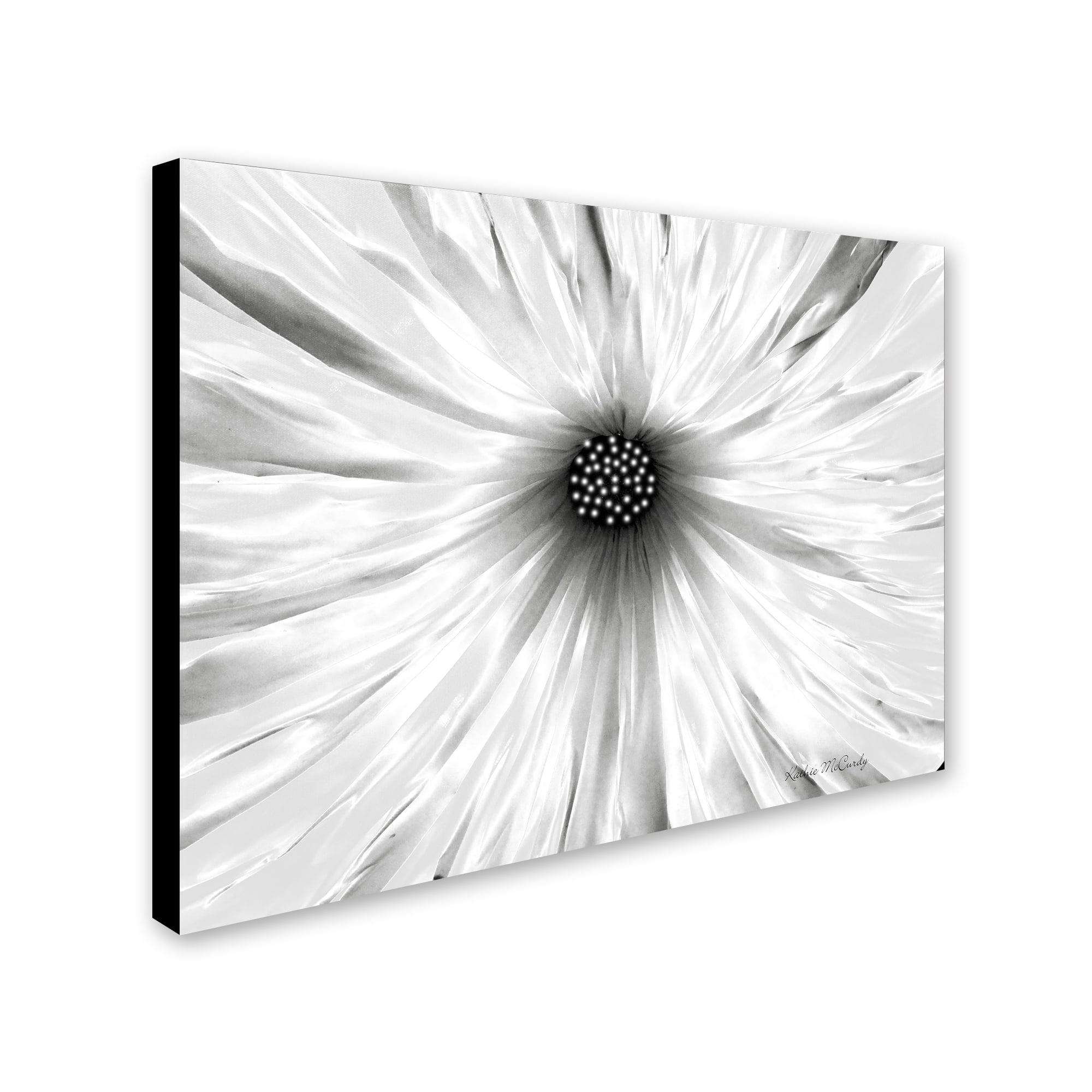 Trademark Art "White Garden" Canvas Art by Kathie McCurdy