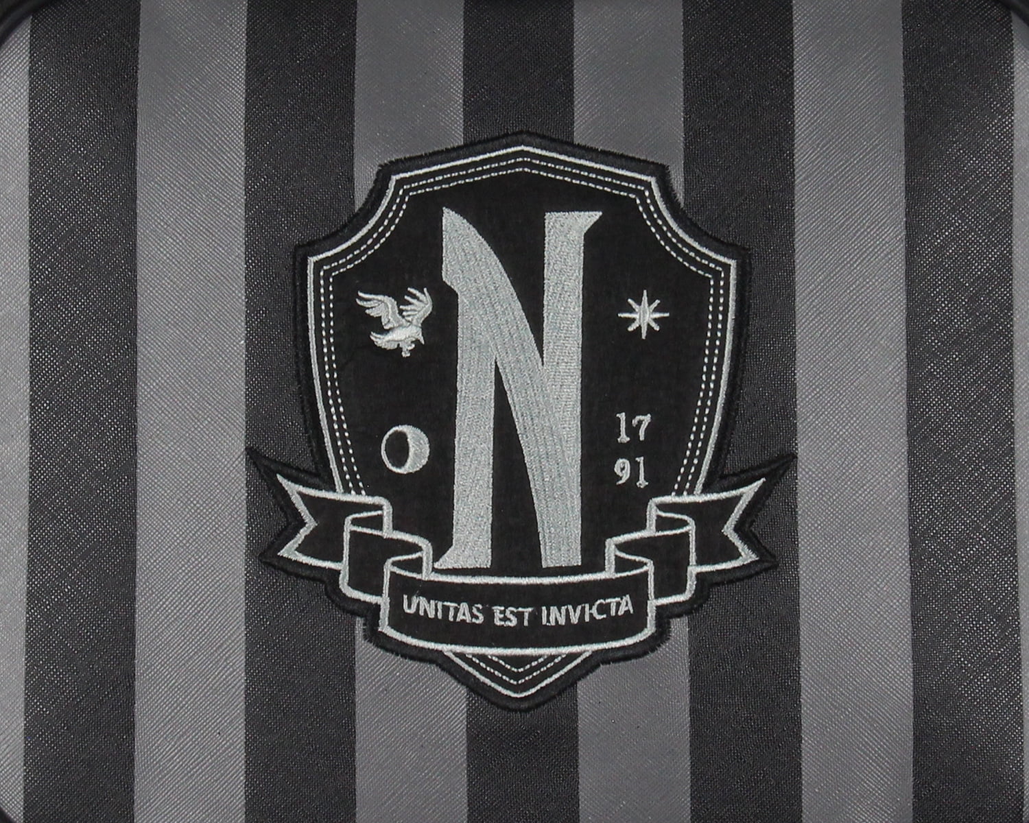 Addams Family Wednesday TV Show Striped Nevermore Academy Student Girls Insulated Lunch Box Food Tote Bag 10"