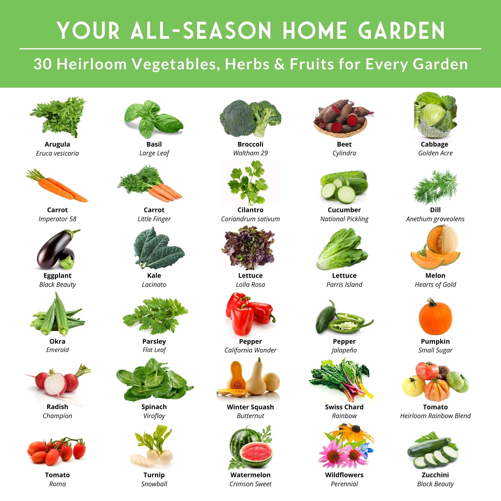 30 Home Garden Seed Collection -  Full Sun Annual Heirloom Vegetables