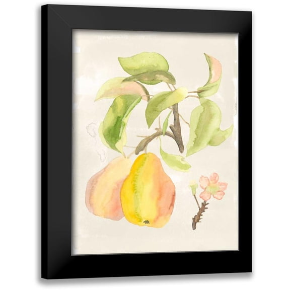 McCavitt, Naomi 12x14 Black Modern Framed Museum Art Print Titled - Watercolor Fruit III