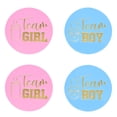 thumbnail image 5 of Pegatinas de revelación de género Team Girl, Team Boy - 48Labels JAMW Sencillez, 5 of 5