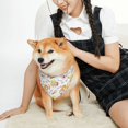 thumbnail image 2 of KLL Cute Gnome Summer Dog Bandanas,Triangle Reversible Pet Scarf for Small Medium Large and Extra Large Dogs-Small, 2 of 4