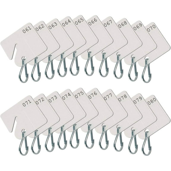 Lucky Line 2596180 Tags, Square Notch Numbered 61 to 80 (20-Pack)
