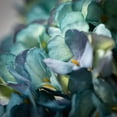 thumbnail image 2 of 21"H Sullivans Blooming Dusty Blue Hydrangea, Blue, 2 of 3