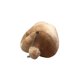 thumbnail image 5 of Bonitas Jaulas De Animales Pequeños, Casa De Hámster, Jaula Colgante Cálida De Invierno, Nido De Hámster Para Conejo, Hámster, Rata Speravity EL013593-00, 5 of 5