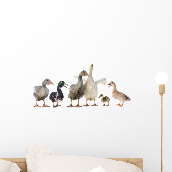Gooses and Ducks Wall Decal by Wallmonkeys Peel and Stick Graphic (18 in W x 8 in H) WM108242