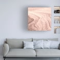 thumbnail image 3 of Alan Majchrowicz 'Coyote Buttes V Blush Crop' Canvas Art, 3 of 3
