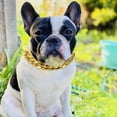 thumbnail image 3 of EeaseMX Collar de metal para mascotas, cadena dorada, moderno y atractivo colgante, accesorio de fotos para gatos y perros pequeños (dorado), 3 of 8