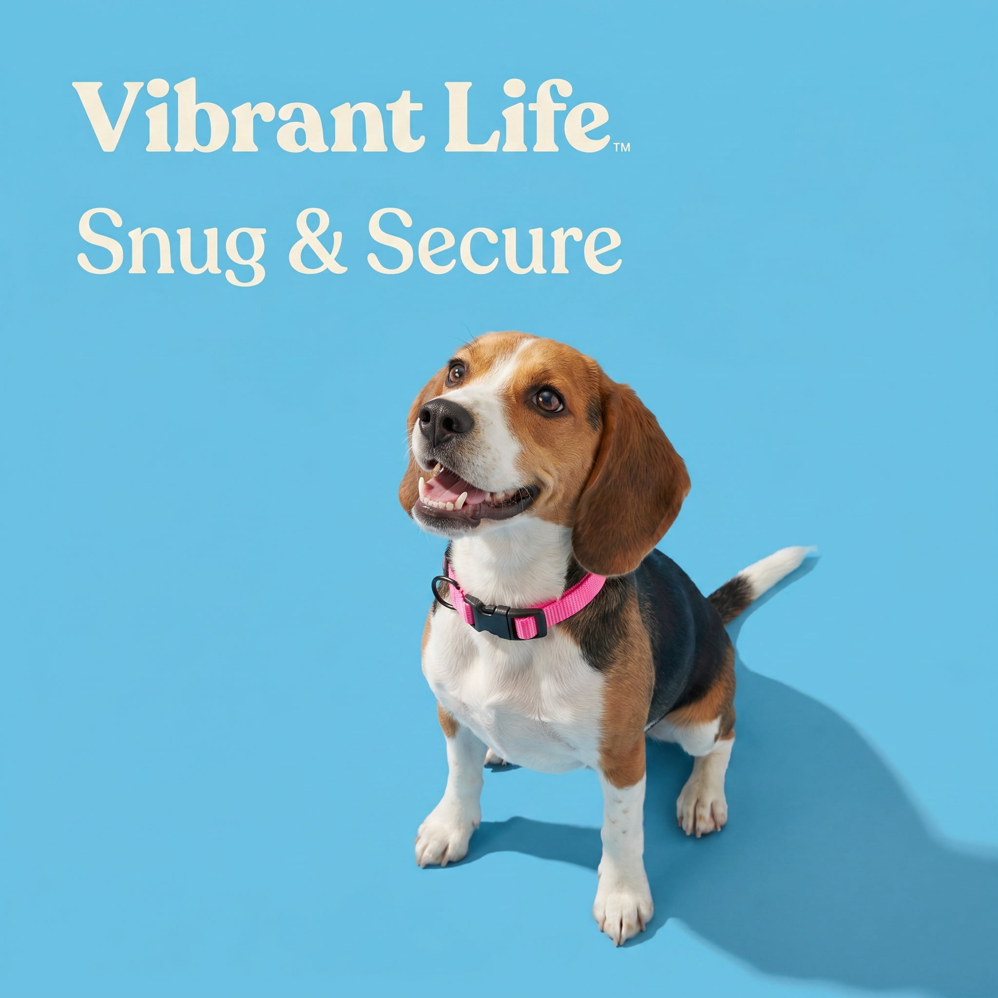 (2 pack) Vibrant Life Solid Polyester Adjustable Dog Collar, Pink, S
