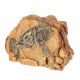 thumbnail image 4 of Reptile Basking Platform Turtle Hide Cave for Tortoise Lizard Snake Durable Lifelike Design Crawling Pet Resting Spot Hiding Place, 4 of 4