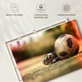 thumbnail image 6 of Elephant Stock Vintage Soccer Ball Wall Art - Horizontal Canvas Wall Art - Living Room Wall Decor - Sports Canvas - Gray And Green Decor - 24" x 16", 6 of 8