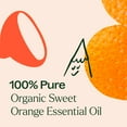 thumbnail image 5 of Plant Therapy Organic Sweet Orange Essential Oil 100% Pure, USDA Certified Organic, Undiluted 30 mL (1 oz), 5 of 8