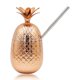 thumbnail image 3 of Copas de cóctel de plástico Copa de cóctel Copa de piña con pajita Copa de vino de 450 ml Copa de acero inoxidable con pajita, 3 of 5