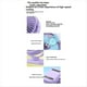 thumbnail image 5 of Ventilador de Escritorio Pequeño, Ultrasilencioso, Portátil, Plegable, con USB, Ideal para Escritorios de Oficina y Dormitorios. Ajuste de Velocidades (A), 5 of 5