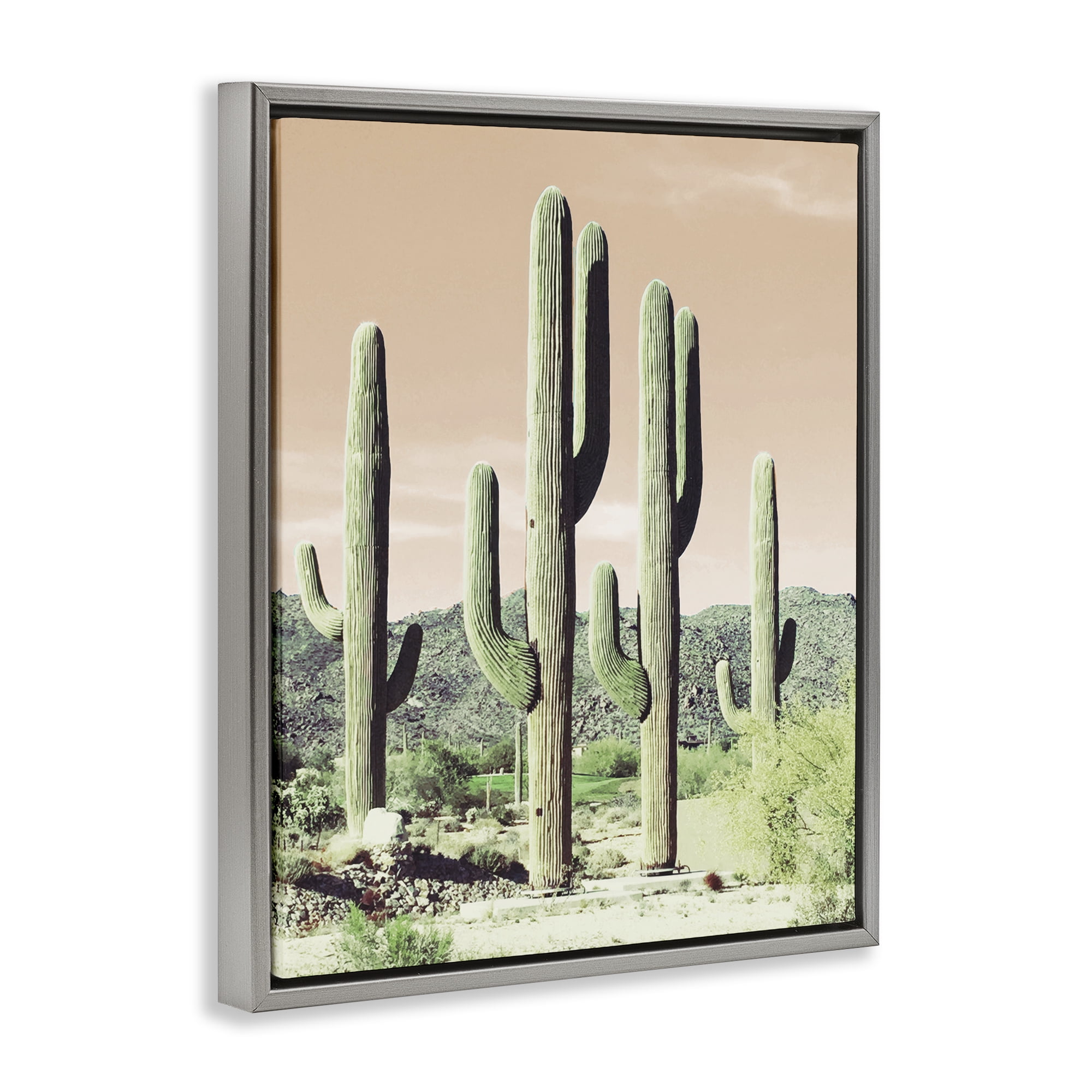 Stupell Industries Sunrise Cactus Scene Landscape & Nature Photography Gray Floater Framed Canvas Art Print Wall Art, 17 x 21