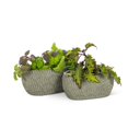 thumbnail image 4 of Oval Scallop Planter, 4 of 4