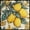 Black/Blue/Yellow, variant on Mi Alma Vinyl Peel and Stick Lemon Sorrento Removable L13 Backsplash Tile Stickers, Green/Yellow, 4" x 4" (24-Pack)