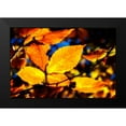 thumbnail image 2 of Hausenflock, Alan 14x11 Black Modern Framed Museum Art Print Titled - Autumn Impressions IX, 2 of 5