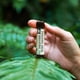 thumbnail image 5 of Bálsamo labial protector solar Panama Jack SPF 45, paquete de sabores, 5 of 9