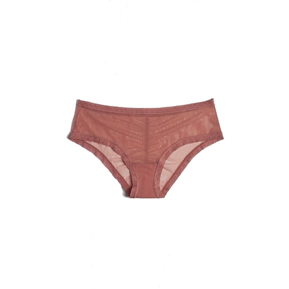 Blush The Mesh Lace Trim Hipster Panty - 0259625