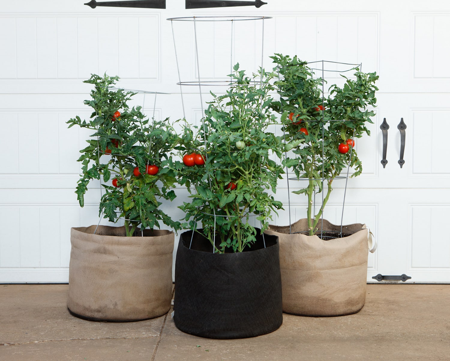 Pot De Culture En Tissus Smart Pot 20 Gallons - Aération Racinaire, Drainage, Pour Plantes, Arbres
