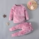 thumbnail image 2 of Sudadera Para Niños Pequeños Otoño Invierno Color Sólido Suéter De Manga Larga Pantalones Dos Piezas Ropa Para Niños Rosa Odeerbi LM103-3404, 2 of 9