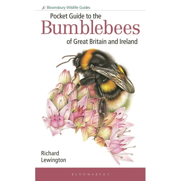 Bloomsbury Wildlife Guides: Pocket Guide to the Bumblebees of Great Britain and Ireland (Paperback)