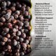thumbnail image 4 of Suplemento Irwin Naturals Bloat-Away Water Balance 60 cápsulas blandas, 4 of 5