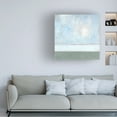 thumbnail image 3 of Carol Young 'Seagrass Mist II' Canvas Art, 3 of 3