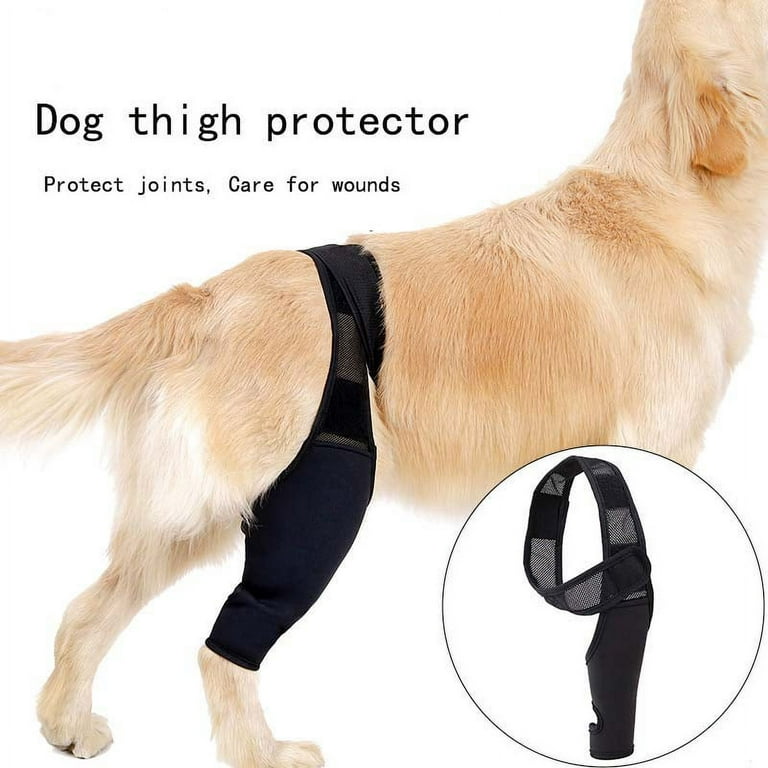 Dog Knee Brace for 4 legs, Leg Brace for ACL with Cruciate Ligament  Injury,Joint Pain and Muscle Sore, Adjustable Rear Support for Knee Cap  Dislocation,Pet Knee Brace 