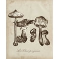 thumbnail image 2 of McCavitt, Naomi 12x14 White Modern Wood Framed Museum Art Print Titled - Les Champignons II, 2 of 4