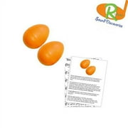 Rhythm Egg Shakers w/Learn to Play Educational Music Pack - (You're A Grand Ol Flag) #RSDOS