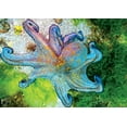 thumbnail image 4 of Buffalo Games Vivid Collection - Octopus Vulgaris 300 Pieces Jigsaw Puzzle, 4 of 6