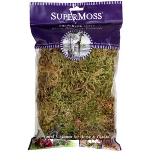 Super Moss 21504 2 oz Dried Forest Moss, Natural Green