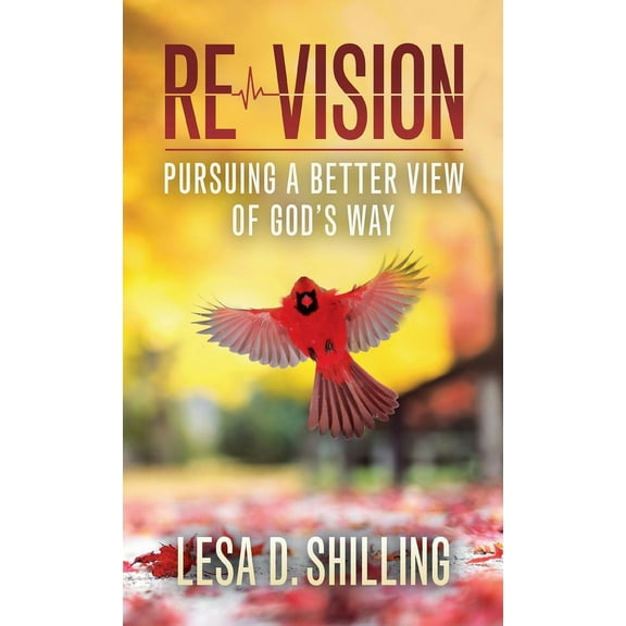 Re-Vision: Pursuing a Better View of God's Way (Hardcover)