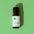 thumbnail image 3 of Plant Therapy Essential Oils Lime Steam Distilled 10 mL (1/3 oz) 100% Pure, Natural Aromatherapy, 3 of 8