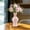 Pink, variant on Gmogad Plastic Imitation Glazed Flower Vase, 28cm Modern Decorative Pot for Living Room TV Cabinet, Dried/Fresh Floral Arrangement Home Office Décor