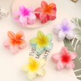 thumbnail image 2 of Pinzas para el pelo con degradado de flores para mujer, horquillas para el pelo, pinzas para el pelo para niña, pasadores de cangrejo, accesorios para el cabello para mujer, 2 of 4