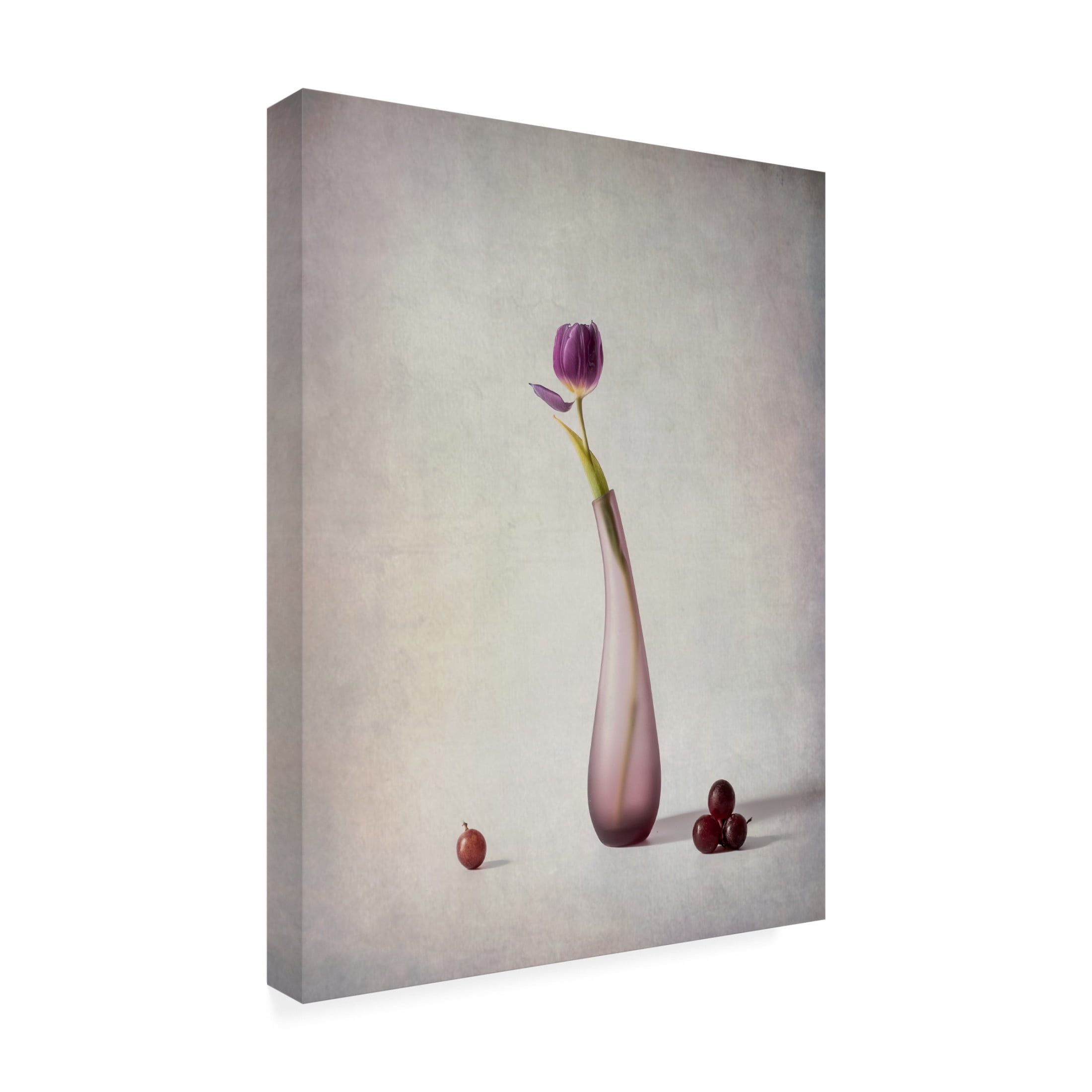 Trademark Fine Art May G Tulip and Grapes Canvas Wall Art