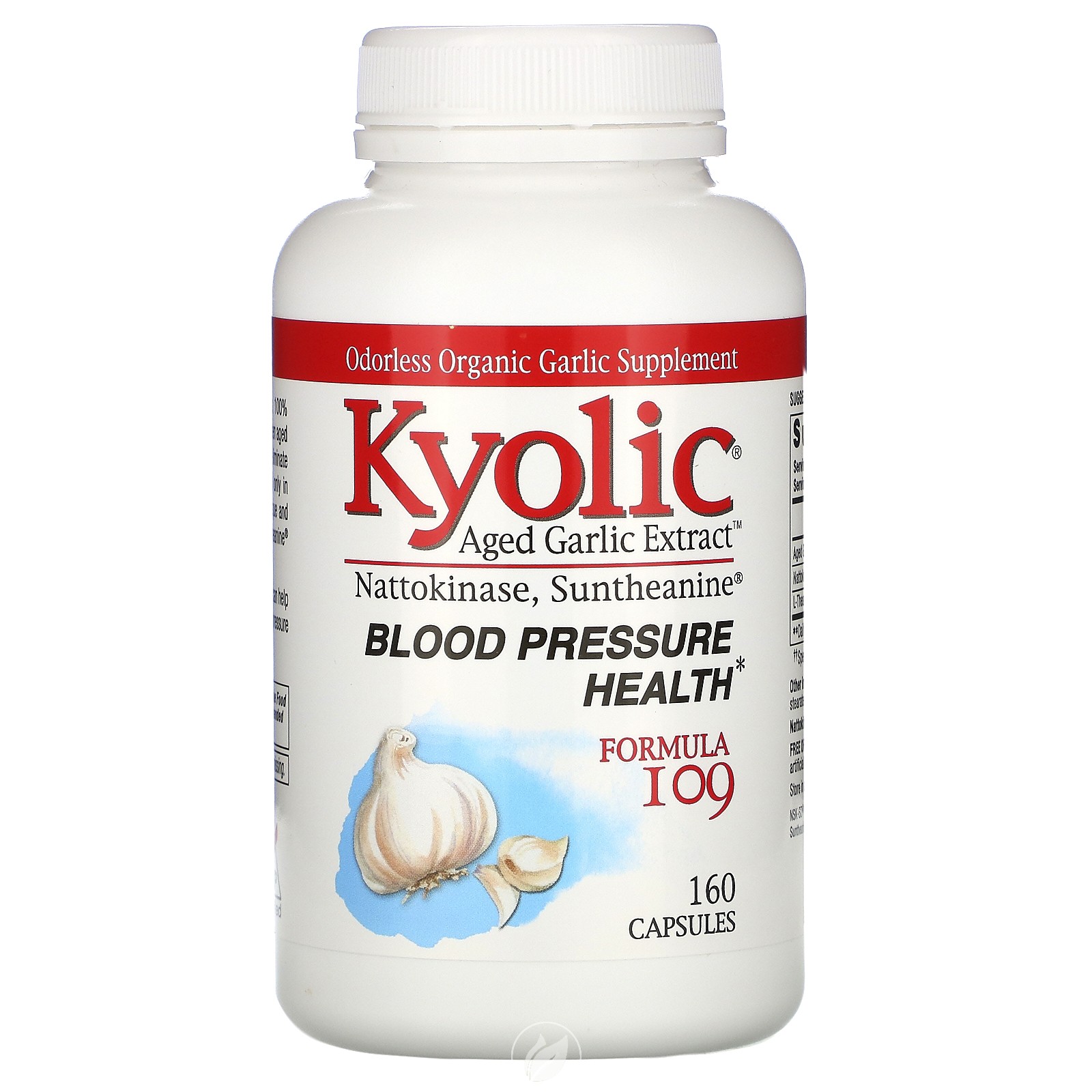 Kyolic, Aged Garlic Extract, Blood Pressure Health, Formula 109, 240