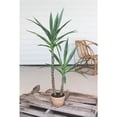 thumbnail image 3 of Kalalou Inc Artificial Heneken Plant With Faux Terracotta Pot, 3 of 3