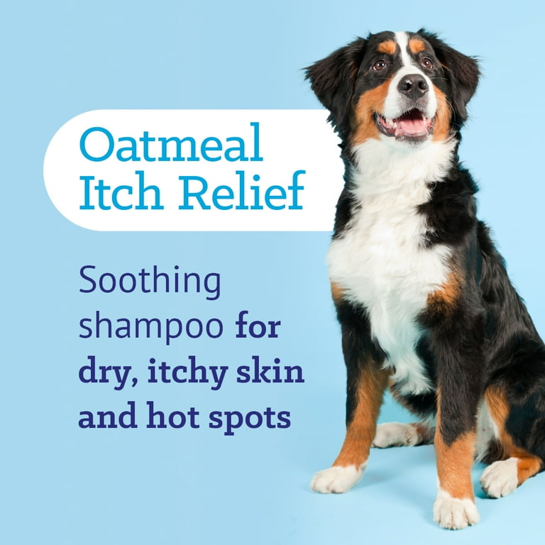 Dog Dandruff Treatment Home Remedies