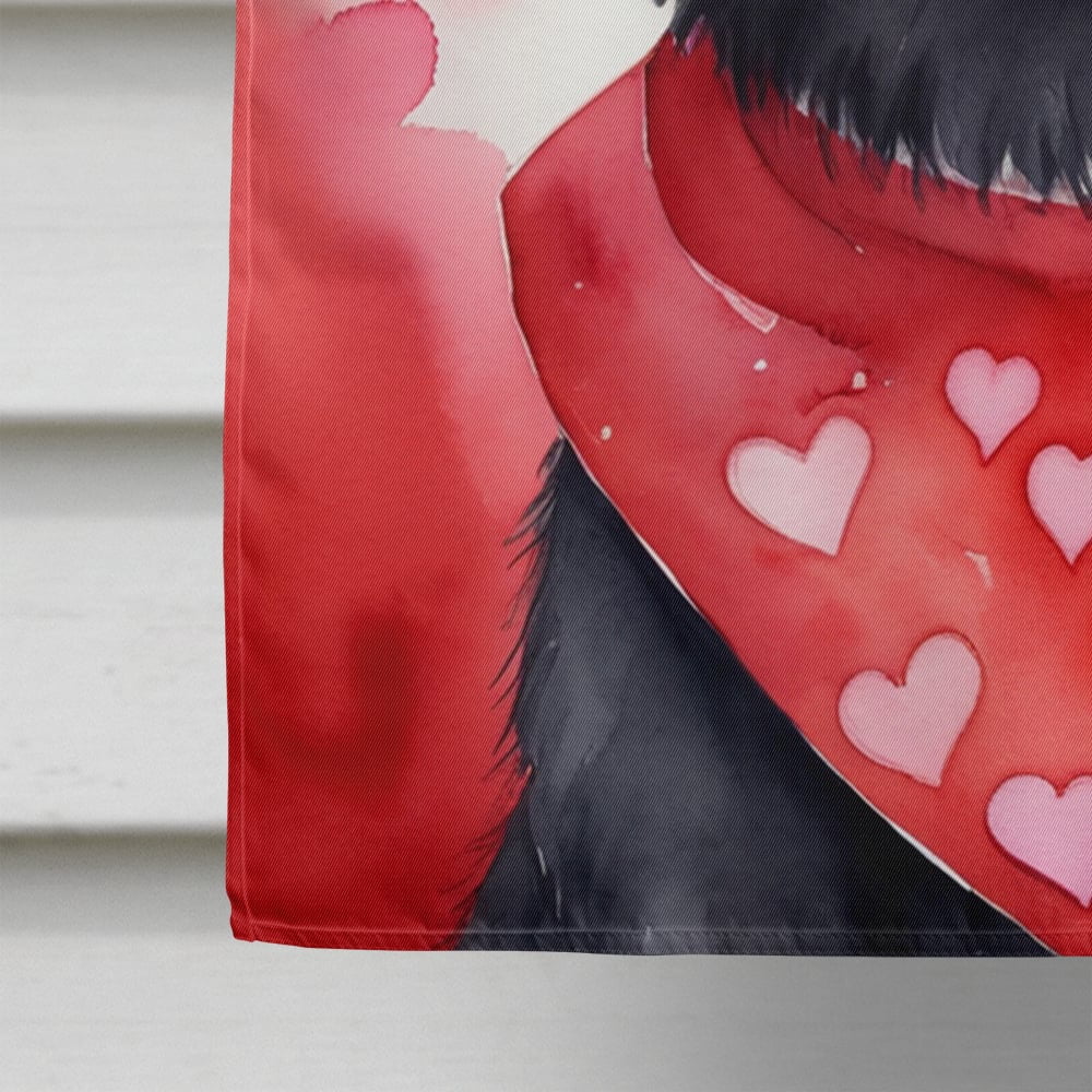 Belgian Sheepdog My Valentine House Flag 28 in x 40 in