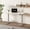 Grey frame + white top, variant on 50" Electric Standing Desk, Height Adjustable Sit Stand Desk with One-Piece Desktop, Home Office Computer Workstation, Black Frame & Black Top
