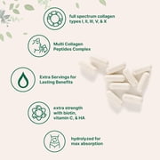 Micro Ingredients Multi Collagen Pills for Women & Men, 240 Capsules | Type I, II, III, V, X | Hydrolyzed Peptides with Biotin, Hyaluronic Acid, Fat Soluble Vitamin C Complex