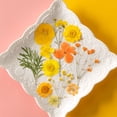 thumbnail image 4 of Matsuzay Flores secas naturales Artísticas Flores prensadas Belleza Joyas Decoraciones Postales decorativas Regalos para tarjetas de boda de resina Flores artificiales Typ 1 Matsuzay HA010799-01, 4 of 6