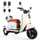 thumbnail image 1 of Moto Bici eléctrica Honey Whale V1 Rosa, 1 of 6