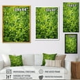 thumbnail image 4 of Designart "Passage through Thyme Herbs I" Floral Framed Wall Art - Traditional Green Herbs Entryway Framed Wall Art, 4 of 6