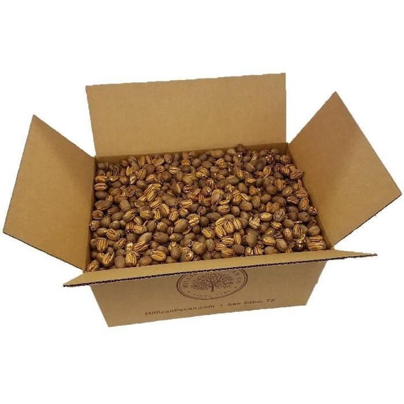 Texas -Cracked- Pecans - Bulk